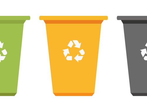 Fachgerechte und umweltfreundliche Entsorgung